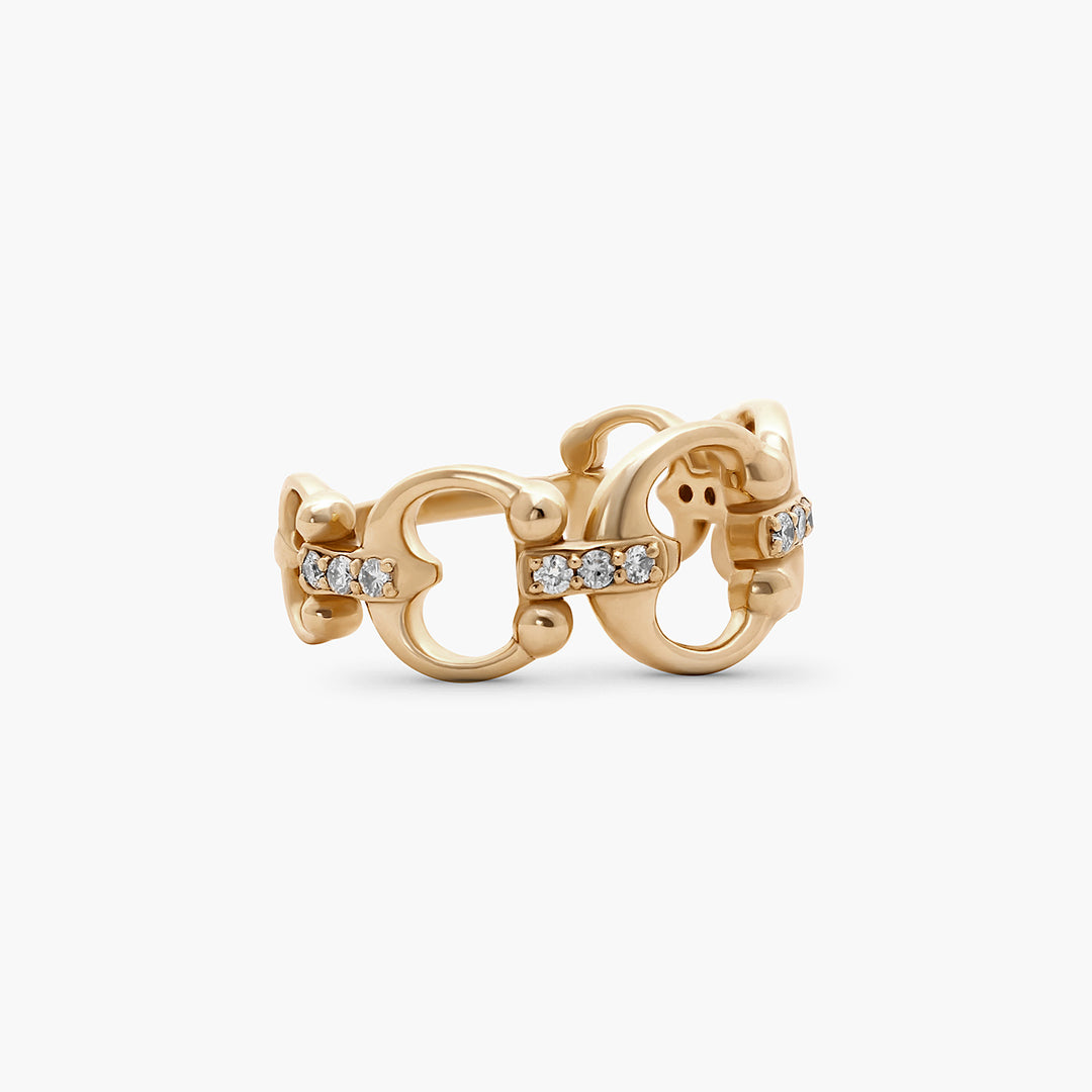 Connecting Link Ring