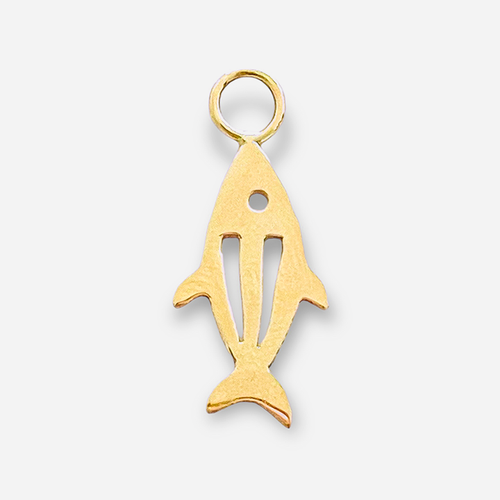 Fish Hoop Charm