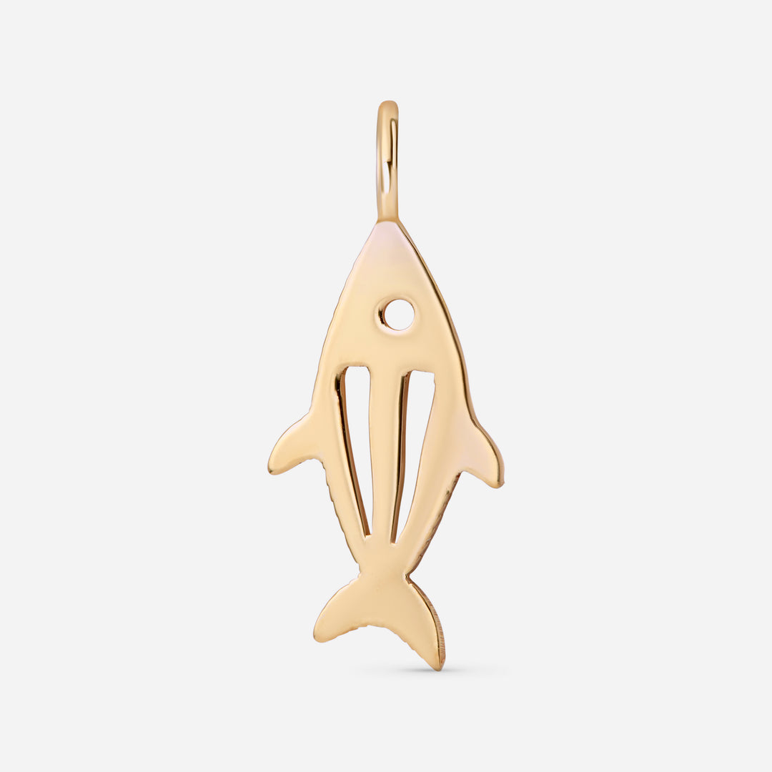 Fish Hoop Charm