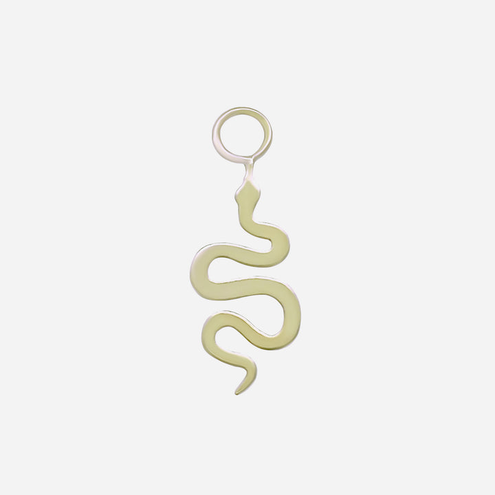 Snake Hoop Charm