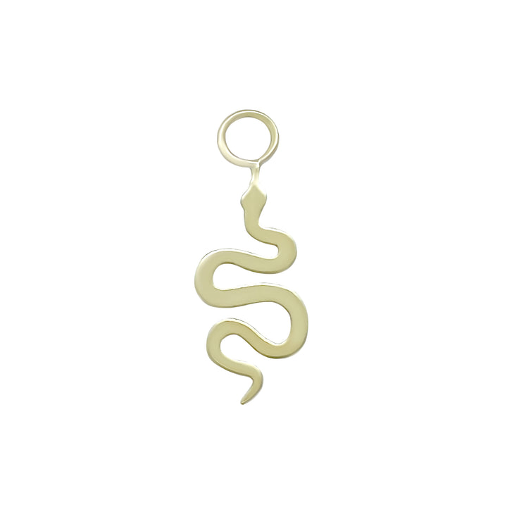 Snake Hoop Charm